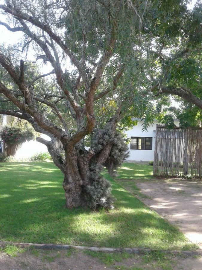 Guinea Fowl Villa Plettenberg Bay Exterior foto